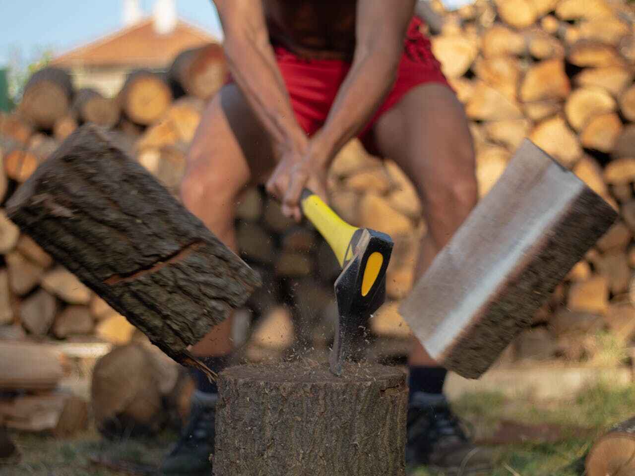 Palm Tree Trimming in Woodstock, GA